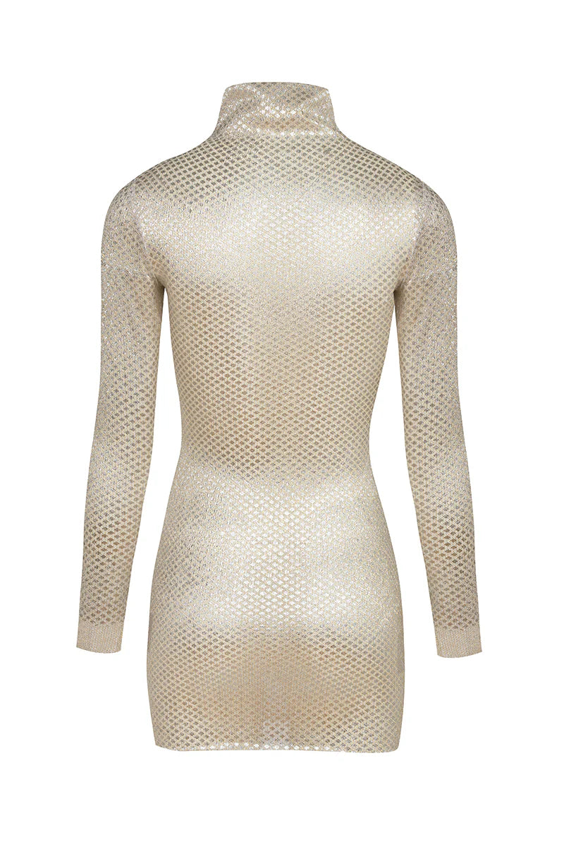 Mermaid see through Mini Dress/top